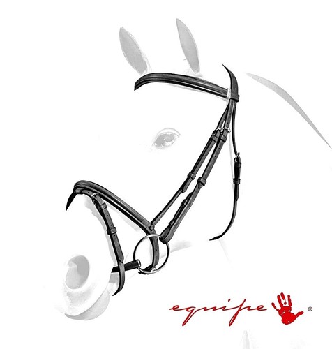 English bridle equip - english,