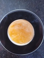 Kombucha Scoby - at least 7 cms ( Postage required only £0.87 )