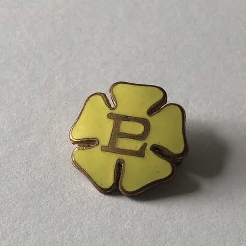 Primrose league enamel lapel - primrose,