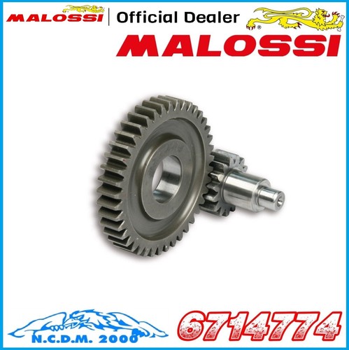Malossi secondary gears - malossi, z