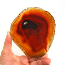 Orange Agate Slice with Quartz