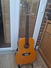 Tanglewood Sundance TW40-12