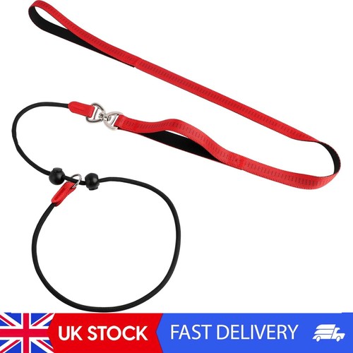 Multi size slip lead with - slip,