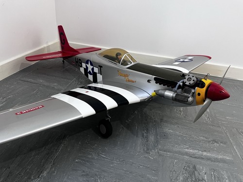 Hangar 51d mustang - hangar, p