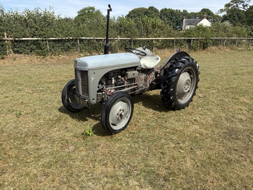 Grey ferguson tvo - grey,