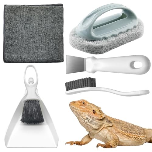 Bearded dragon tank cleaning - dragon,
