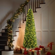 7FT Slim Xmas Tree Pencil