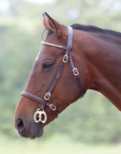 Shires Blenheim Clincher