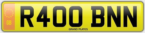 Robin number plate - robin, reg