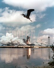 Space Shuttle take off with heron in foreground - NASA - Original Photo