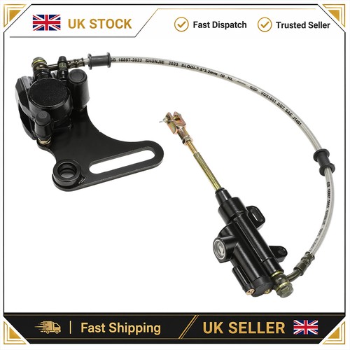 Brake caliper system - for, dirt