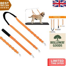 Professional Dog Grooming