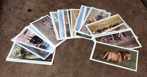 Grandee cigarette cards - grandee,