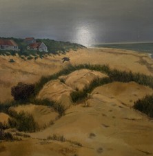 Sunset Windy Beach Holiday