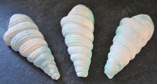 3 Horn Shell Ornaments Blue White Seaside Theme Bathroom Decoration