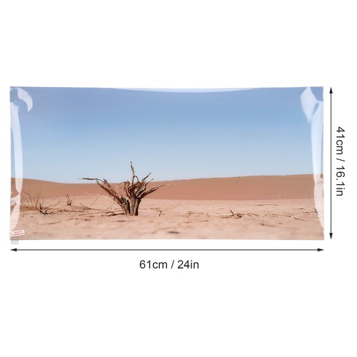 Beautiful desert dry - beautiful,