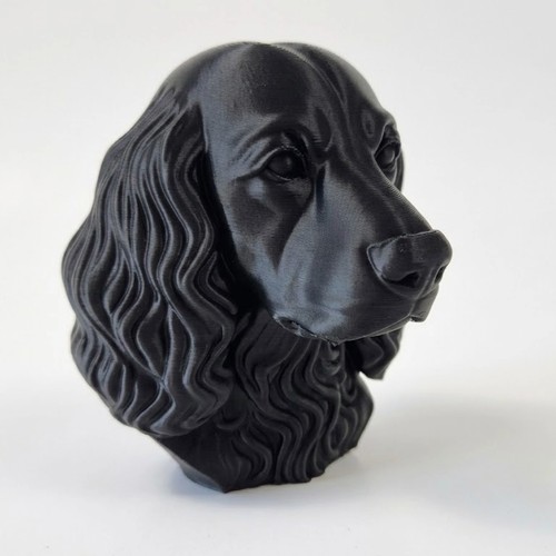 Field spaniel dog - field, bust