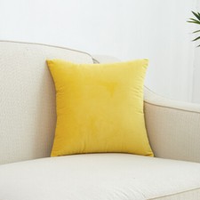 Dutch & Crushed Velvet Cushion