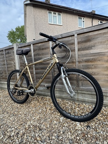 Man sintara mountain bike - man’s,