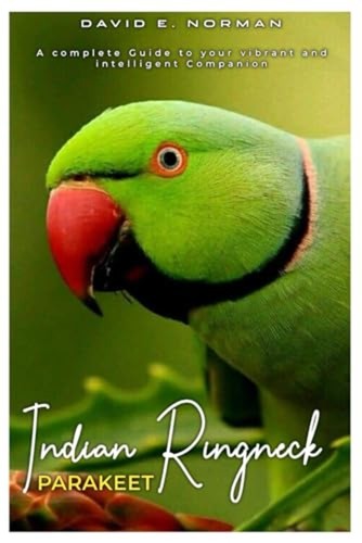 Indian ringneck parakeet a - indian,