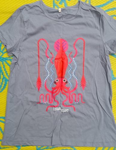 Rapanui marine conservation - marine,