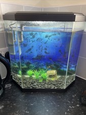 Fish Tank With Lights, Filter , Pebbles, Ornaments And A Spare Filter