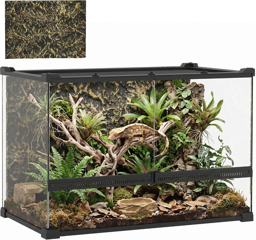 Reptile glass terrarium - reptile,