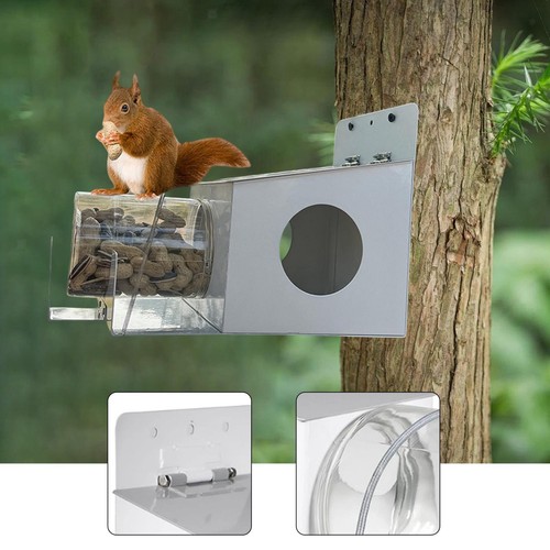 Squirrel feeder house - squirrel,