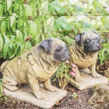 Lifesize PAIR Sitting Pug Dog Stone Cast Very Heavy Statues by DGS 56KGS