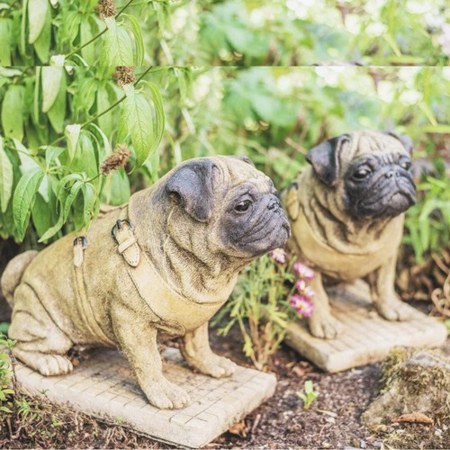 Lifesize pair sitting - lifesize, dog