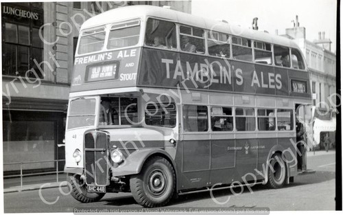 Bus photo eastbourne - -,