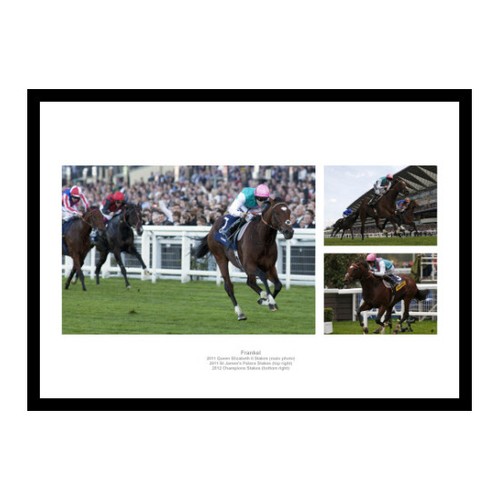 Frankel montage horse - montage, racing