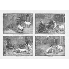 DOGS Fuss & Feathers - Antique