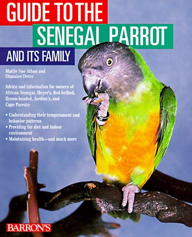 Guide the senegal - senegal, parrot