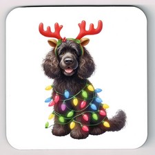 Irish Water Spaniel Coaster