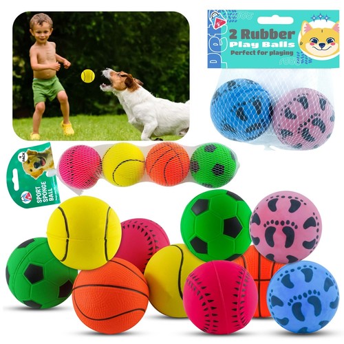 Dog pet training bouncy - dog,