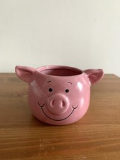 M&S Percy Pig Succulent Plant