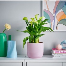 IKEA Gradvis Plant pot