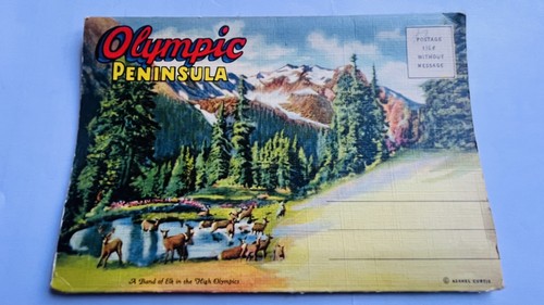 Olympic peninsula letter card - olympic,