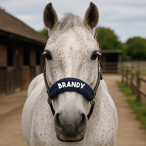 Personalised anatomical horse - personalised,