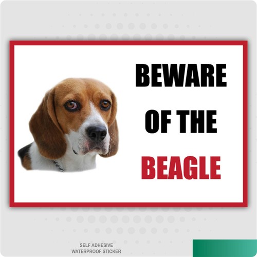 Funny beware the beagle dog - beware, of