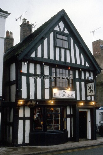 Pu4182 cheshire the black - cheshire,
