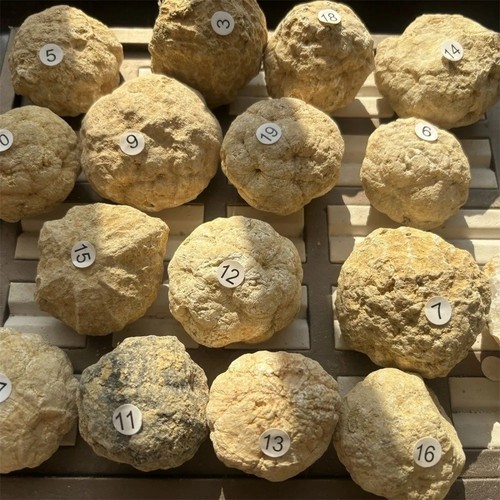 4cm wholesale unopened - wholesale,