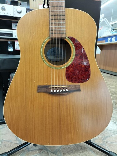 Seagull acoustic guitar - acoustic,