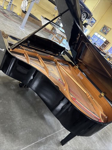 Yamaha grand piano - yamaha,