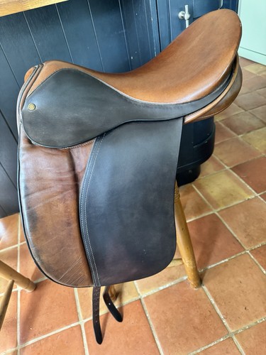 Allen and page dressage - allen,