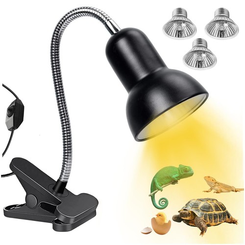 Tortoise heat lamp - tortoise,