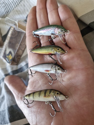 3d printed rapala - 4, x