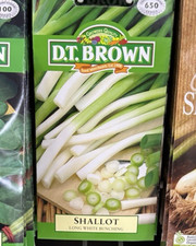 SHALLOT SEEDS LONG WHITE