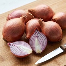 Shallot Red Sun 10 Sets Red